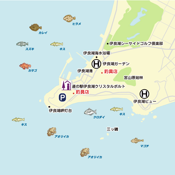 伊良湖港 陸っぱり 釣り 魚釣り 釣果情報サイト カンパリ