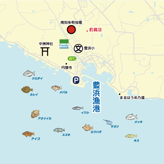 豊浜漁港周辺 陸っぱり 釣り 魚釣り 釣果情報サイト カンパリ