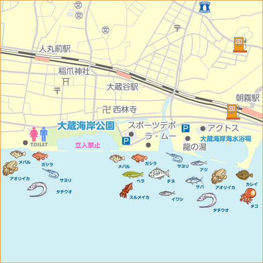 大蔵海岸 陸っぱり 釣り 魚釣り 釣果情報サイト カンパリ