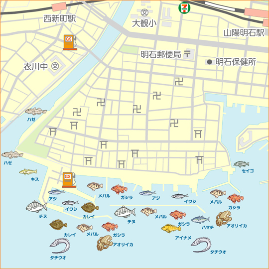 新浜漁港 陸っぱり 釣り 魚釣り 釣果情報サイト カンパリ