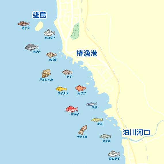 椿漁港〜泊川河口