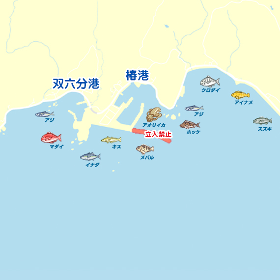 双六分港〜椿港