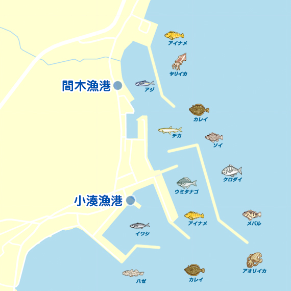 間木漁港・小湊漁港