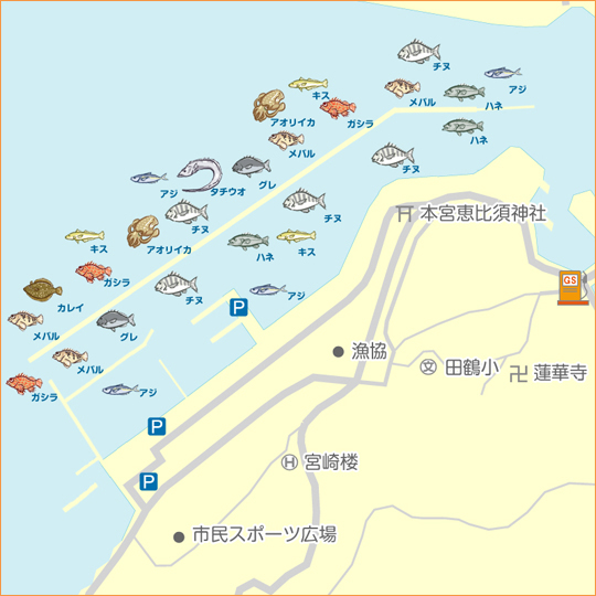 宮崎町 箕島漁港でアジング 和歌山県 有田川一文字 アジング アジ 陸っぱり 釣り 魚釣り 釣果情報サイト カンパリ