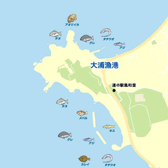 大浦漁港～道の駅風和里裏