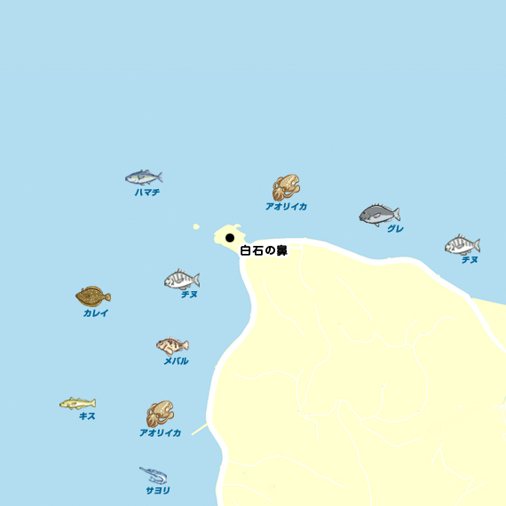 白石の鼻海岸 アオリイカ 陸っぱり 釣り 魚釣り 釣果情報サイト カンパリ