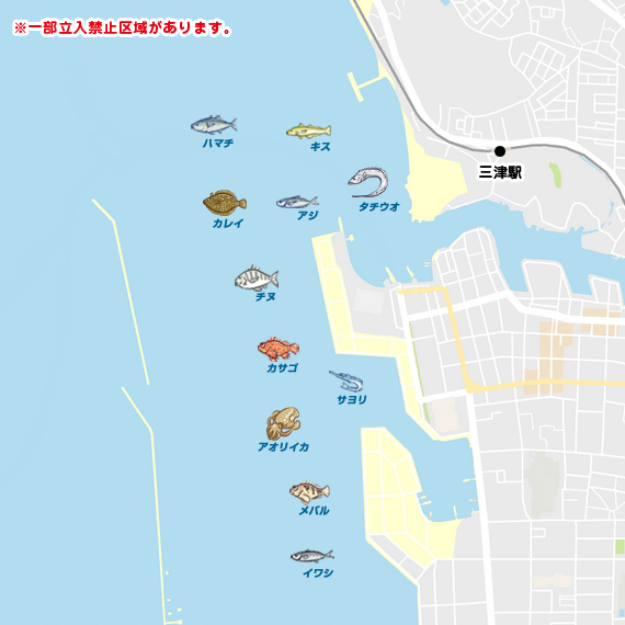 三津埠頭 陸っぱり 釣り 魚釣り 釣果情報サイト カンパリ