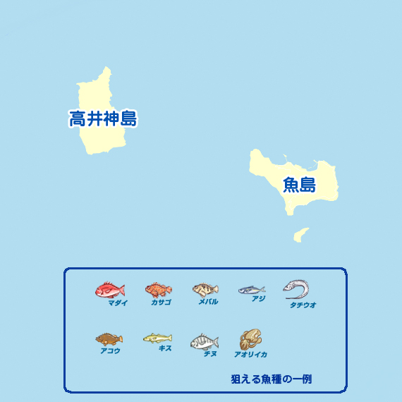 高井神島 魚島 陸っぱり 釣り 魚釣り 釣果情報サイト カンパリ