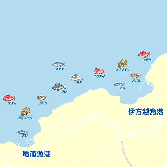 伊方越漁港・亀浦漁港