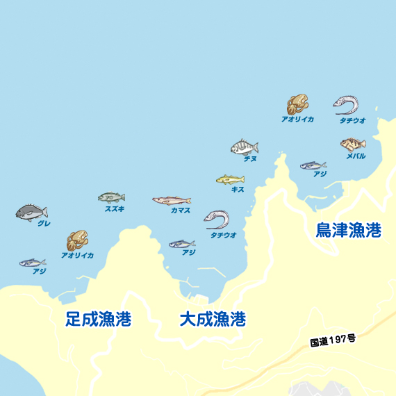 鳥津漁港～足成漁港