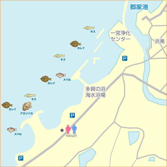 多賀 淡路島 陸っぱり 釣り 魚釣り 釣果情報サイト カンパリ