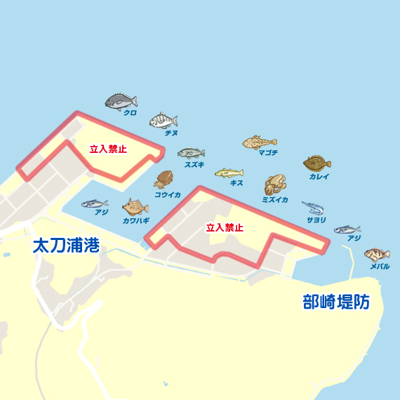 太刀浦〜部崎堤防
