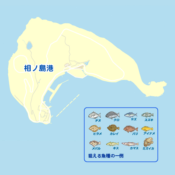 相ノ島 陸っぱり 釣り 魚釣り 釣果情報サイト カンパリ