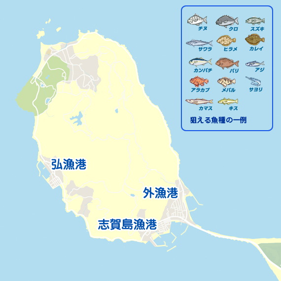 アジング 福岡 志賀島 アジング メバル 陸っぱり 釣り 魚釣り 釣果情報サイト カンパリ