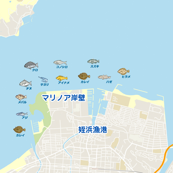 アジ 福岡 姪浜漁港周辺 アジング アジ 陸っぱり 釣り 魚釣り 釣果情報サイト カンパリ