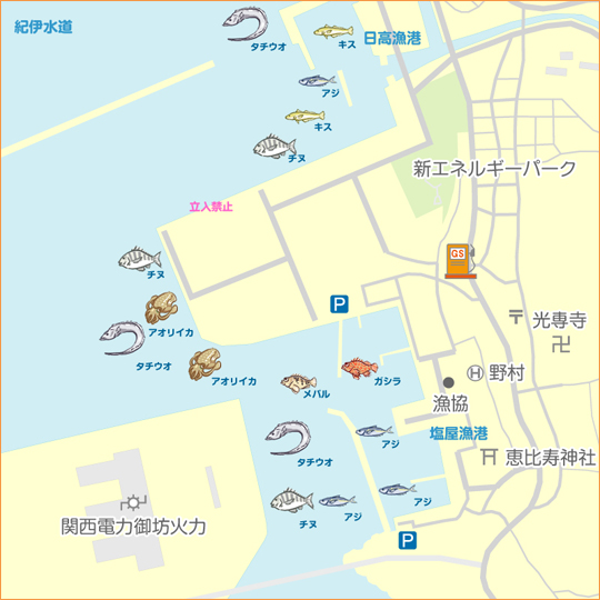 南塩屋 陸っぱり 釣り 魚釣り 釣果情報サイト カンパリ