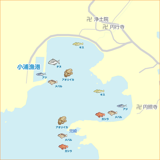 小浦漁港