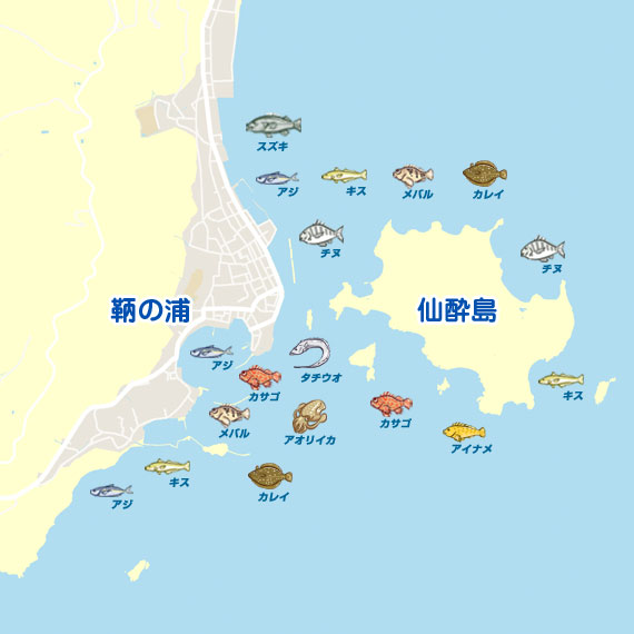 お手軽エサ釣り 広島 鞆の浦 仙酔島 ロックフィッシュ ルアー スズキ セイゴ 陸っぱり 釣り 魚釣り 釣果情報サイト カンパリ