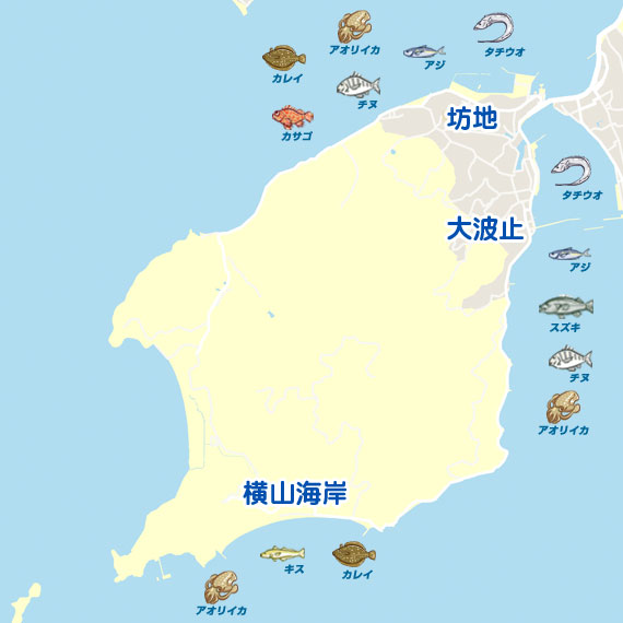 投げ釣り 広島 横島 投げ釣り チャリコ 陸っぱり 釣り 魚釣り 釣果情報サイト カンパリ