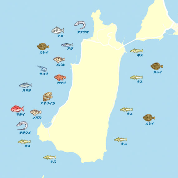 鹿島 陸っぱり 釣り 魚釣り 釣果情報サイト カンパリ