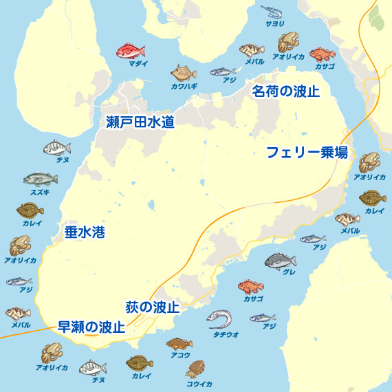 しまなみエギング そろそろ本番 広島 生口島 エギング アオリイカ 陸っぱり 釣り 魚釣り 釣果情報サイト カンパリ