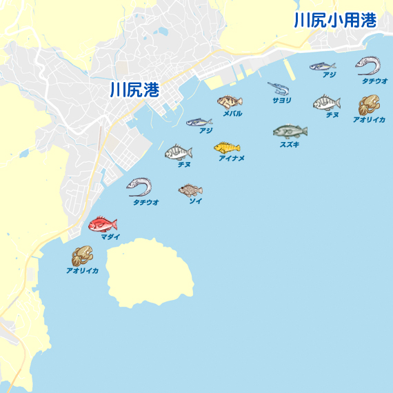 川尻港周辺 陸っぱり 釣り 魚釣り 釣果情報サイト カンパリ