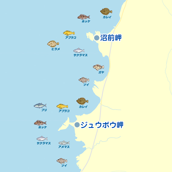 沼前岬〜ジュウボウ岬
