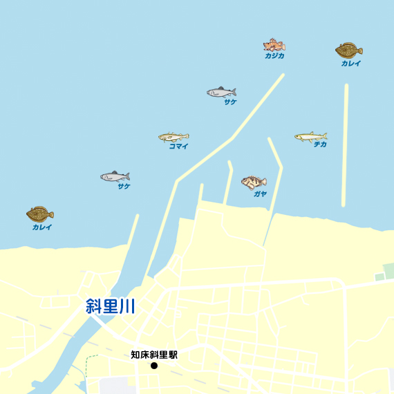 斜里漁港 陸っぱり 釣り 魚釣り 釣果情報サイト カンパリ