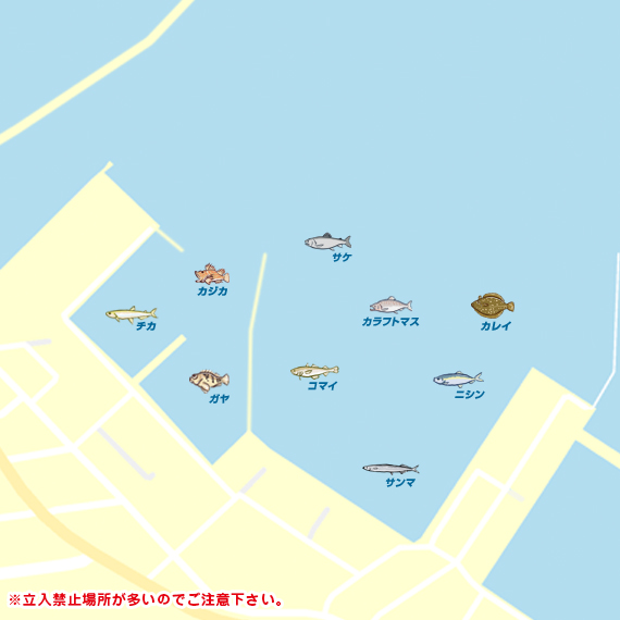 網走港 陸っぱり 釣り 魚釣り 釣果情報サイト カンパリ