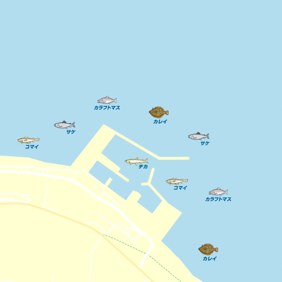 常呂漁港 陸っぱり 釣り 魚釣り 釣果情報サイト カンパリ