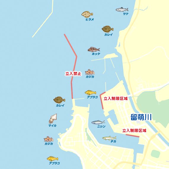 留萌港 陸っぱり 釣り 魚釣り 釣果情報サイト カンパリ
