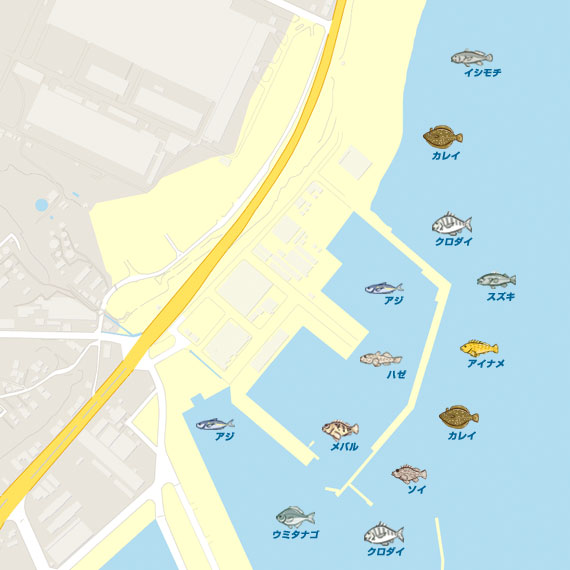 まあなご 茨城 久慈港 ズボ釣り ぶっこみ アナゴ 陸っぱり 釣り 魚釣り 釣果情報サイト カンパリ