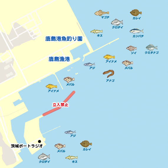 鹿島港魚釣り園周辺 陸っぱり 釣り 魚釣り 釣果情報サイト カンパリ