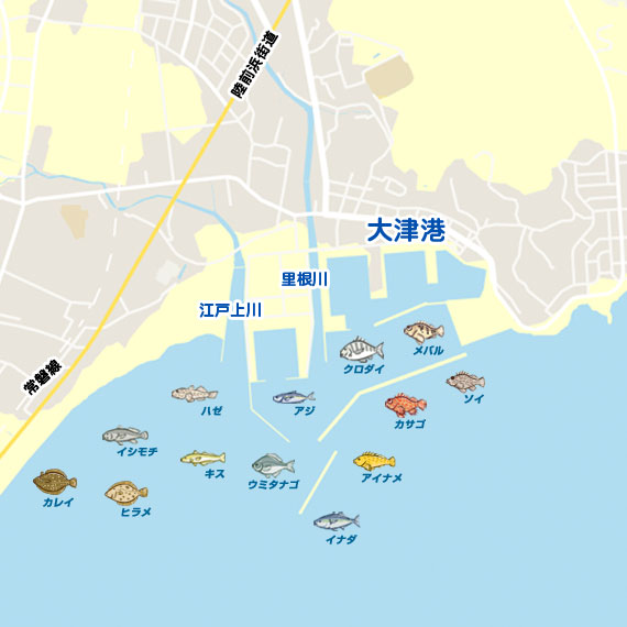 大津 港 釣り