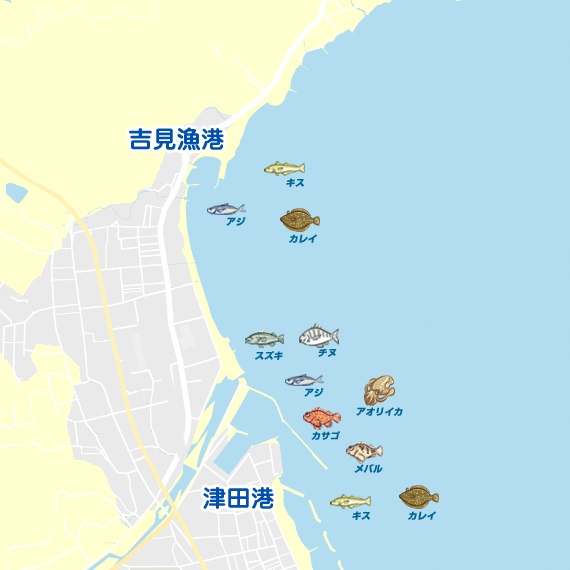 津田港～吉見漁港