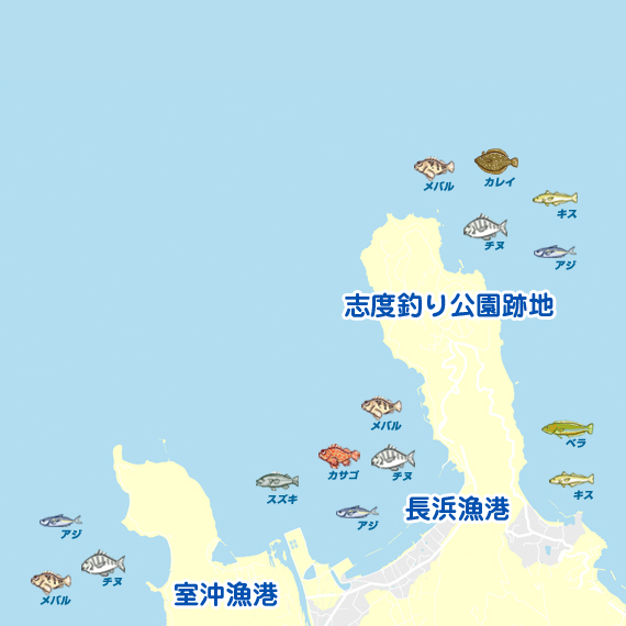 長浜漁港周辺 陸っぱり 釣り 魚釣り 釣果情報サイト カンパリ