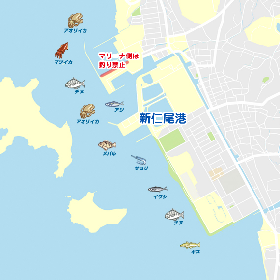 キスが釣れ始め 香川 仁尾周辺 投げ釣り ハゼ 陸っぱり 釣り 魚釣り 釣果情報サイト カンパリ