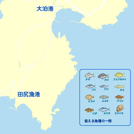 大泊港周辺(鹿児島)