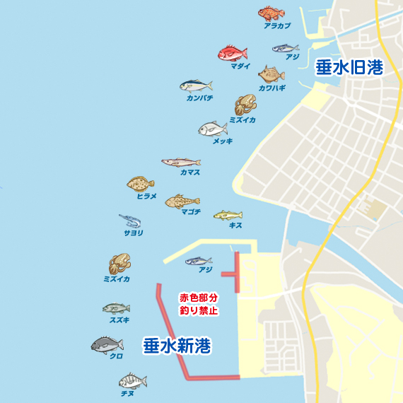 初ジギング 鹿児島 垂水旧港 垂水新港 ショアジギング ヒラメ 陸っぱり 釣り 魚釣り 釣果情報サイト カンパリ