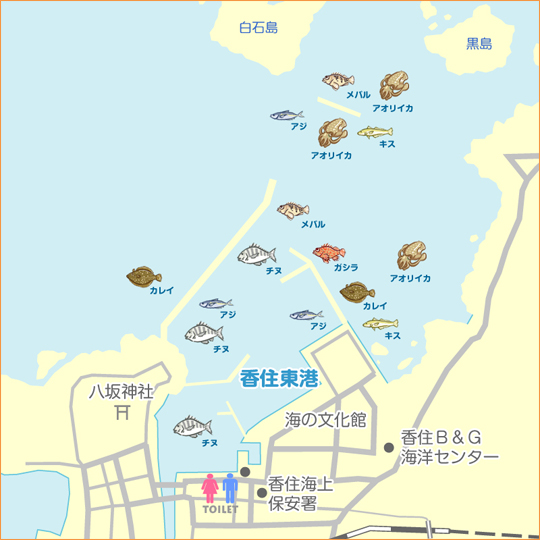 香住東港 陸っぱり 釣り 魚釣り 釣果情報サイト カンパリ