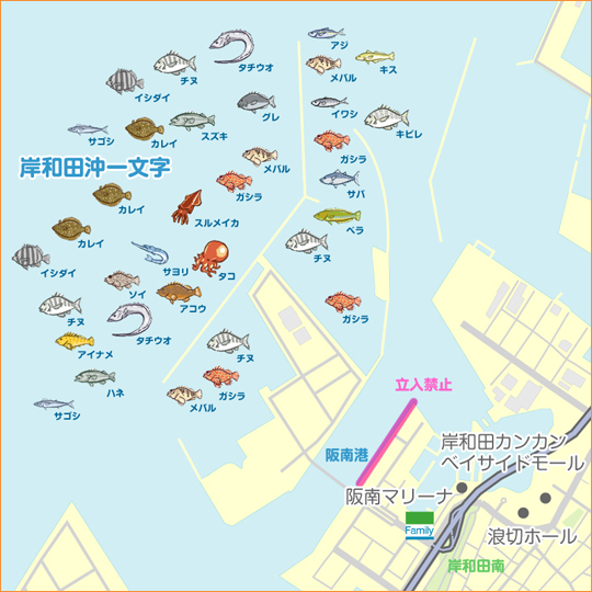 ミニアコウ釣りました 大阪府 岸和田1 ショアジギング エソ 陸っぱり 釣り 魚釣り 釣果情報サイト カンパリ