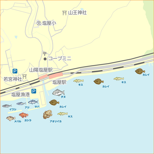 塩屋海岸 陸っぱり 釣り 魚釣り 釣果情報サイト カンパリ