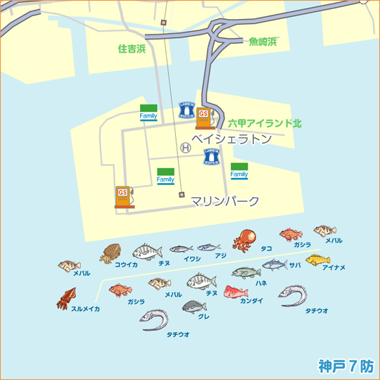 神戸７防 陸っぱり 釣り 魚釣り 釣果情報サイト カンパリ