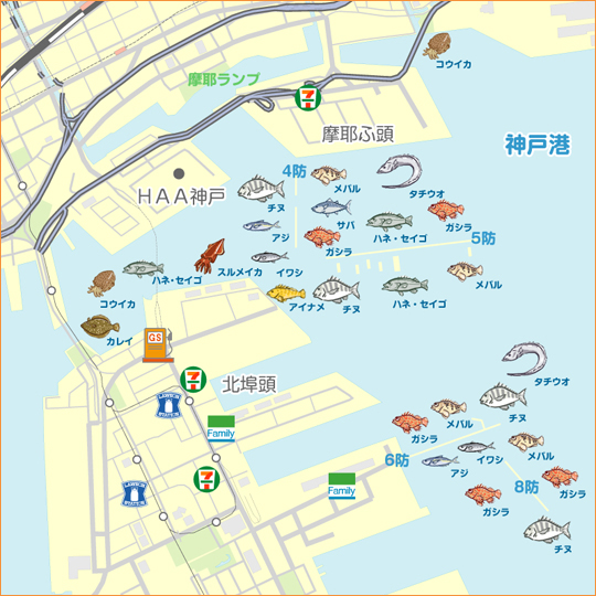 神戸港4 5 6 8防 陸っぱり 釣り 魚釣り 釣果情報サイト カンパリ
