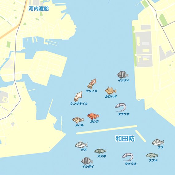 神戸港西側 陸っぱり 釣り 魚釣り 釣果情報サイト カンパリ