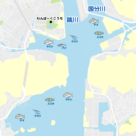 高知港周辺 陸っぱり 釣り 魚釣り 釣果情報サイト カンパリ