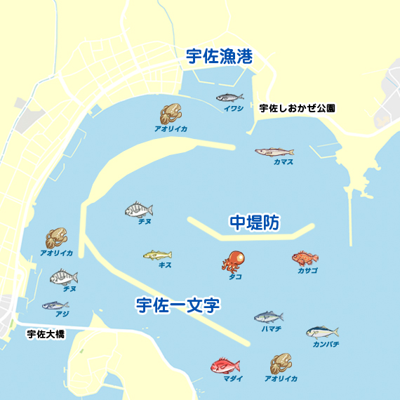 宇佐漁港周辺 陸っぱり 釣り 魚釣り 釣果情報サイト カンパリ