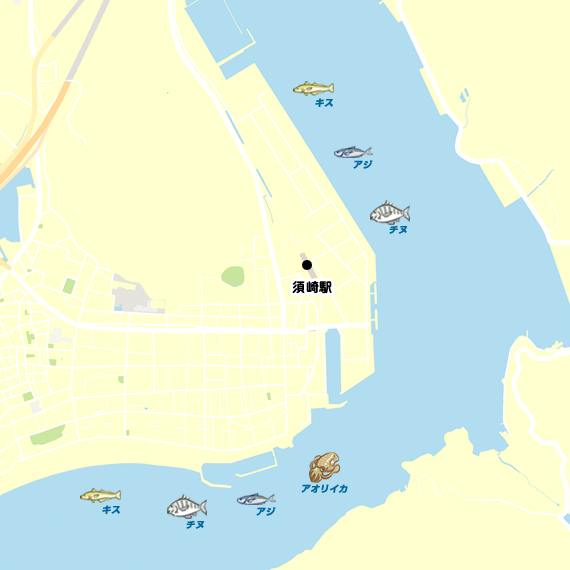 帰省 高知 須崎漁港 エギング アオリイカ 陸っぱり 釣り 魚釣り 釣果情報サイト カンパリ