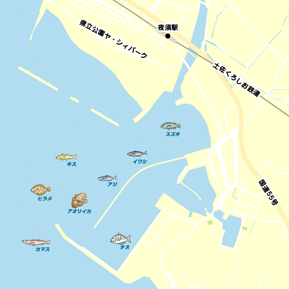 手結港 陸っぱり 釣り 魚釣り 釣果情報サイト カンパリ