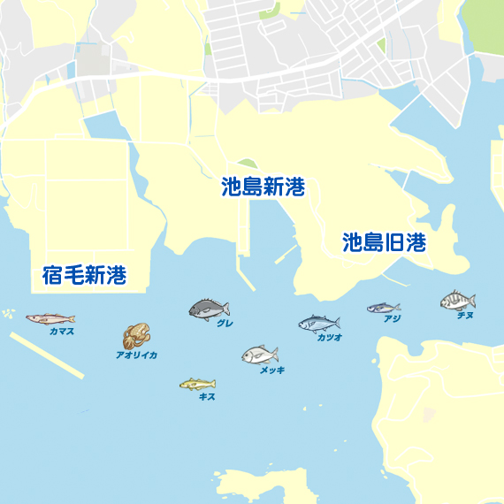 宿毛新港 池島漁港 陸っぱり 釣り 魚釣り 釣果情報サイト カンパリ